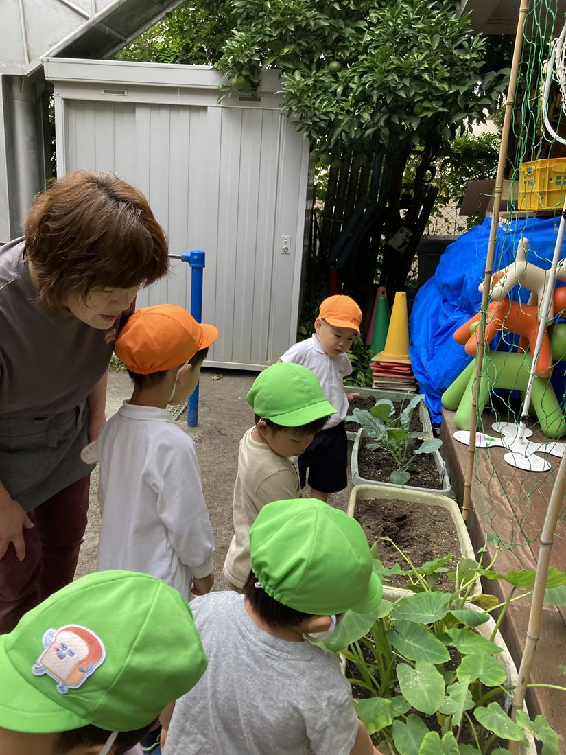 菜園の前で、先生と子どもたちが土をのぞきこんでいる